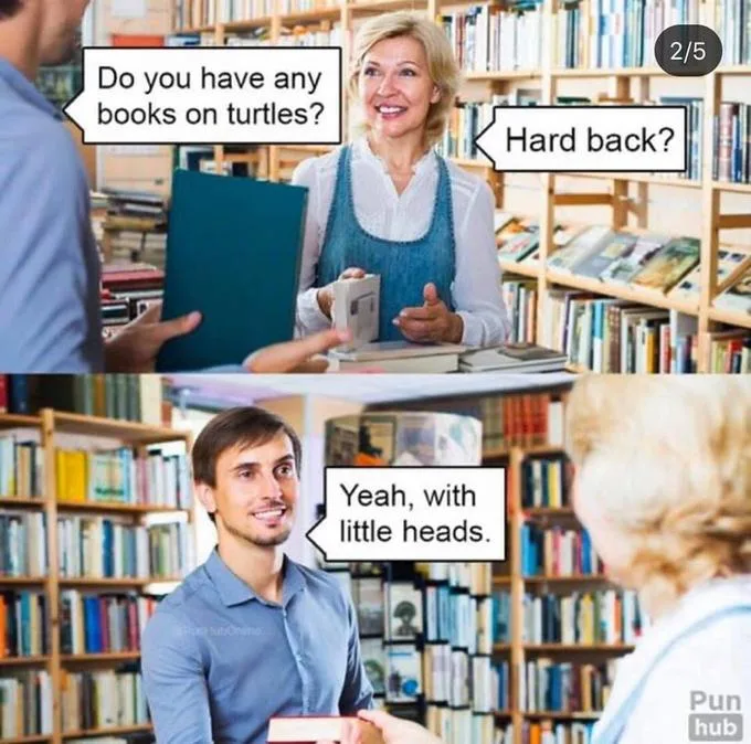 turtle meme