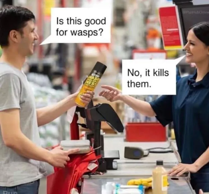 wasp meme