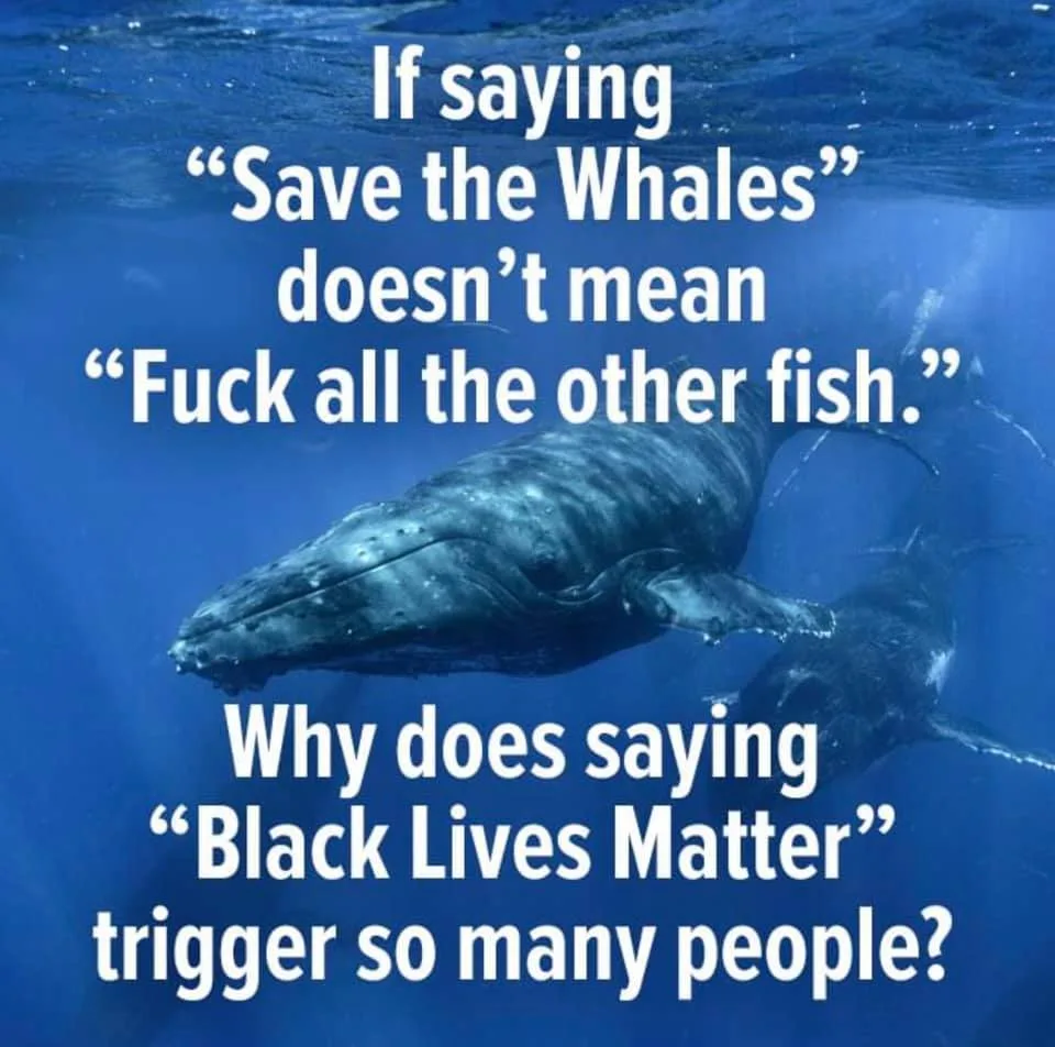 Black Lives Matter meme