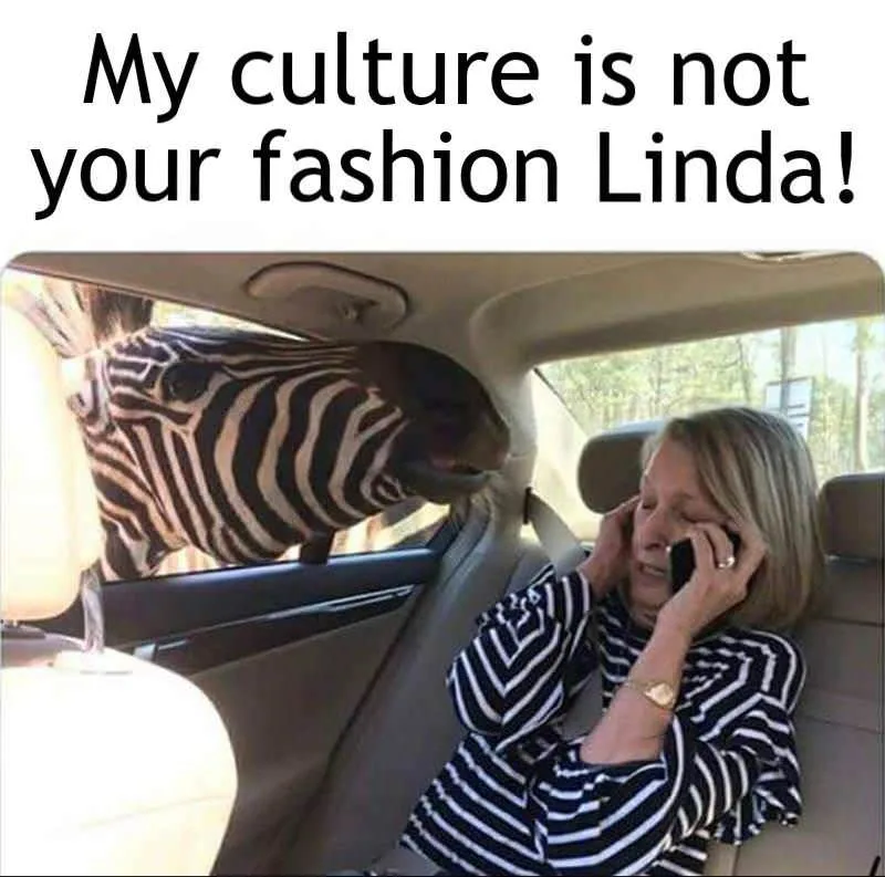 cultural appropriation meme