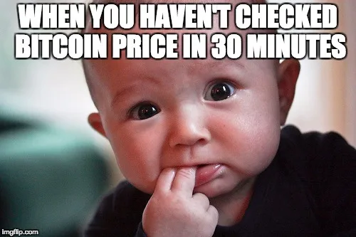 Bitcoin meme