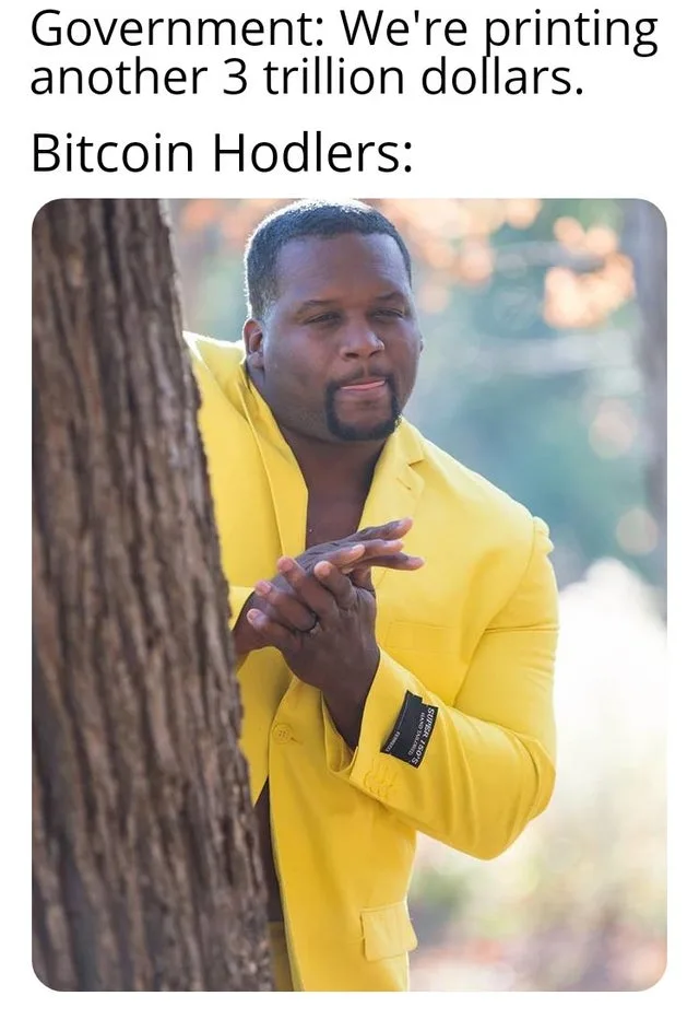 Bitcoin meme