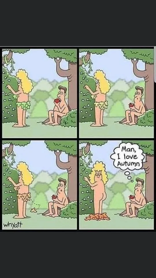 autumn meme