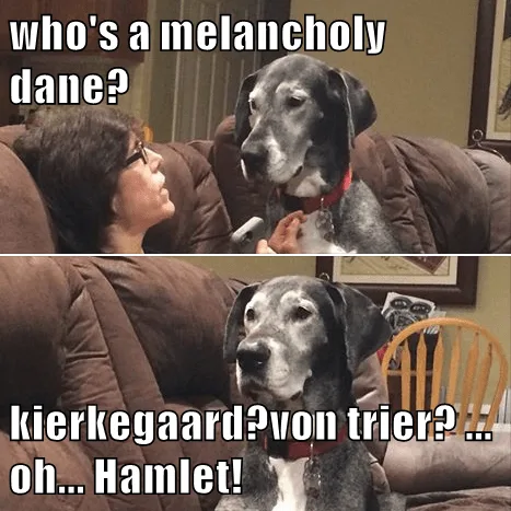 Soren Kierkegaard meme