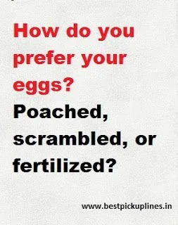 egg meme