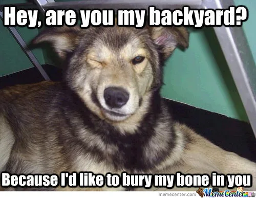 bone meme