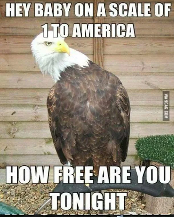 freedom meme