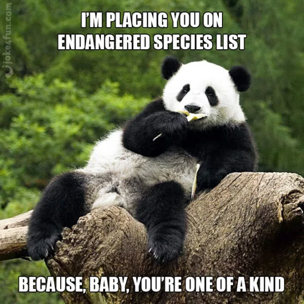 conservation meme