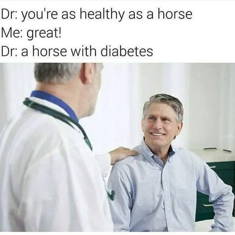 horse meme