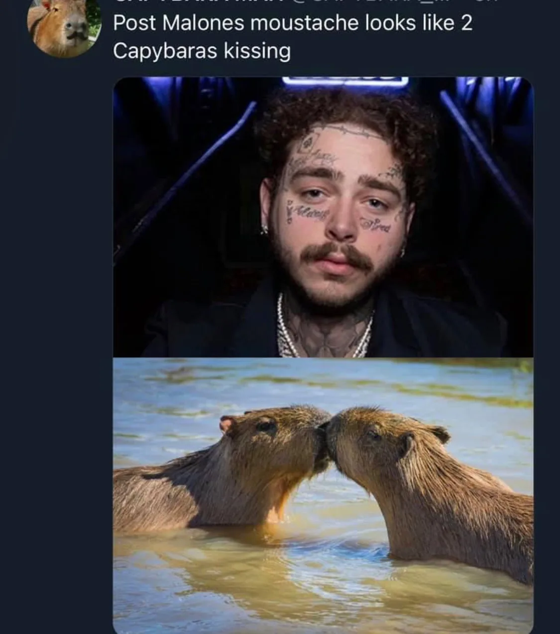 Post Malone meme