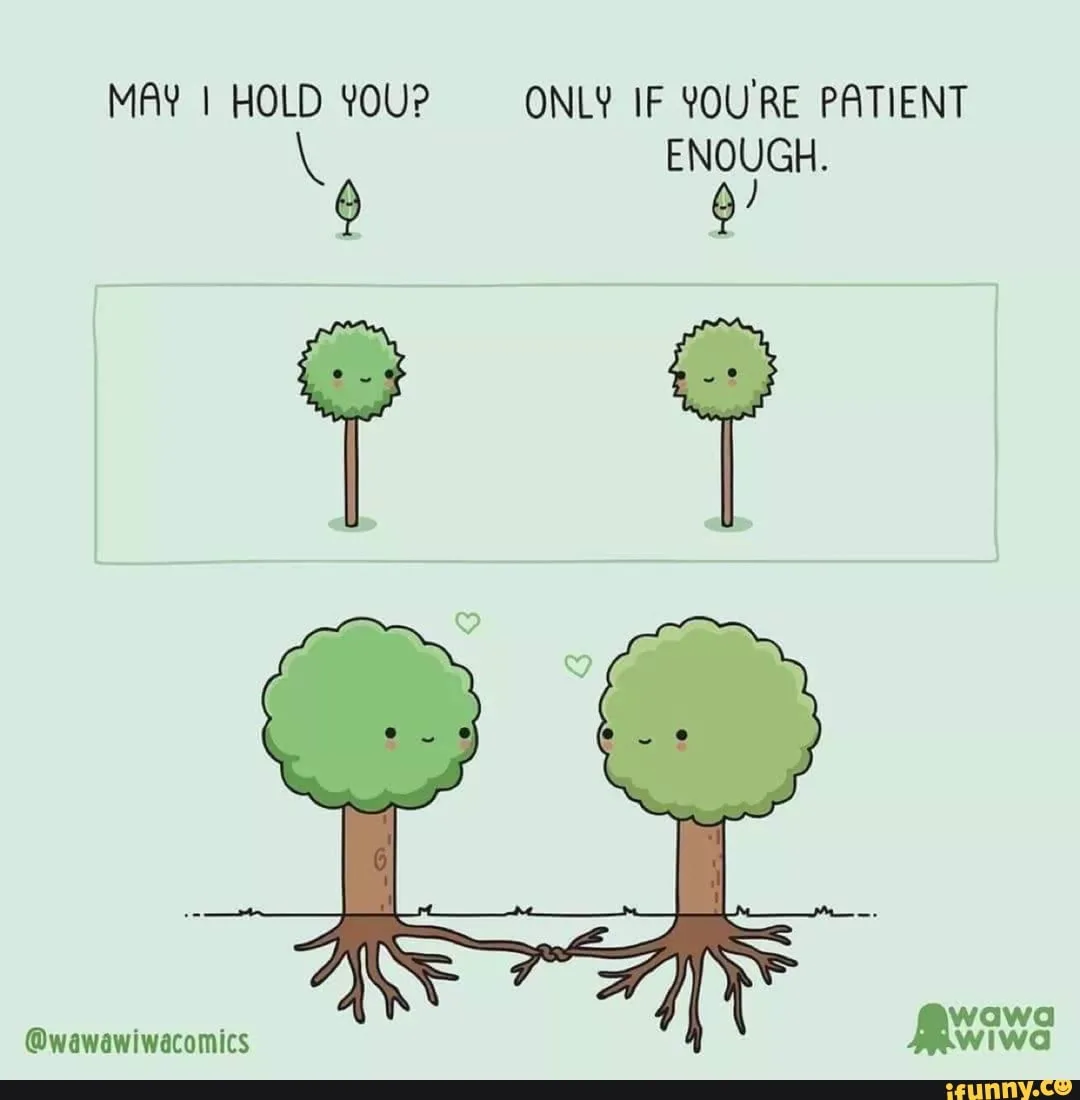 patience meme