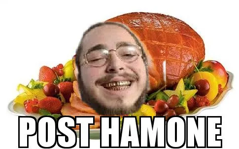 ham meme