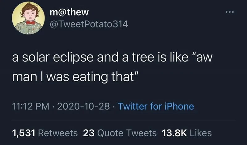 sun meme
