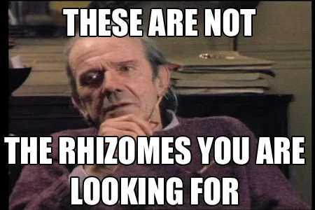 Gilles Deleuze meme