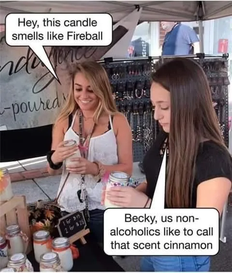 cinnamon meme