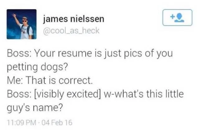 dog meme