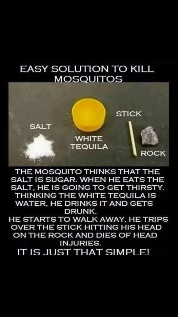 mosquito meme