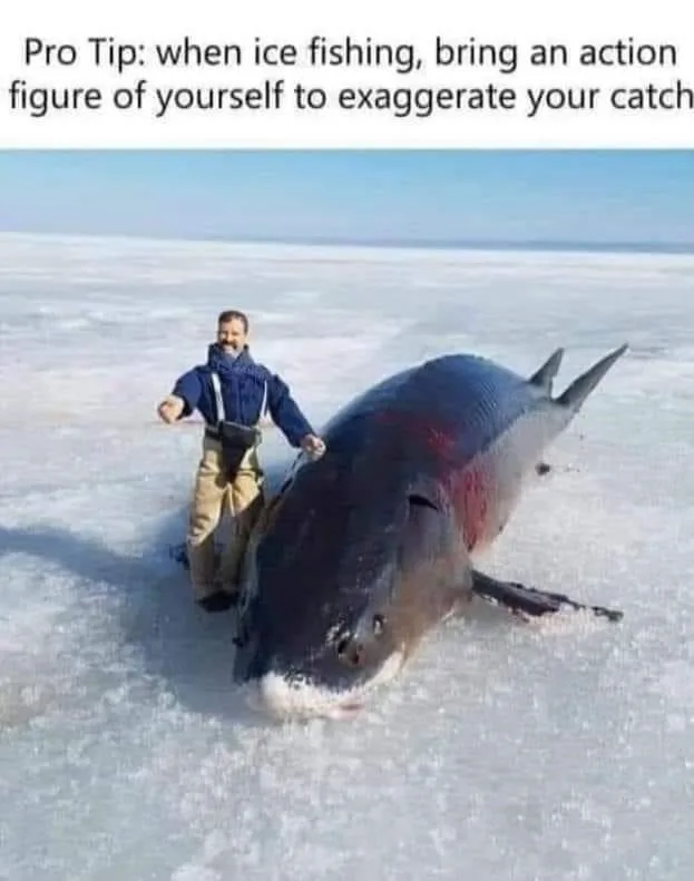 fishing meme