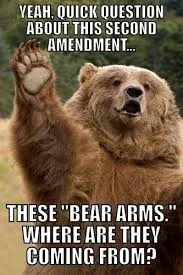 2nd Amendment meme