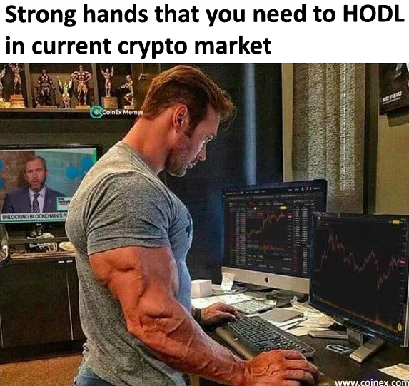 HODLing meme