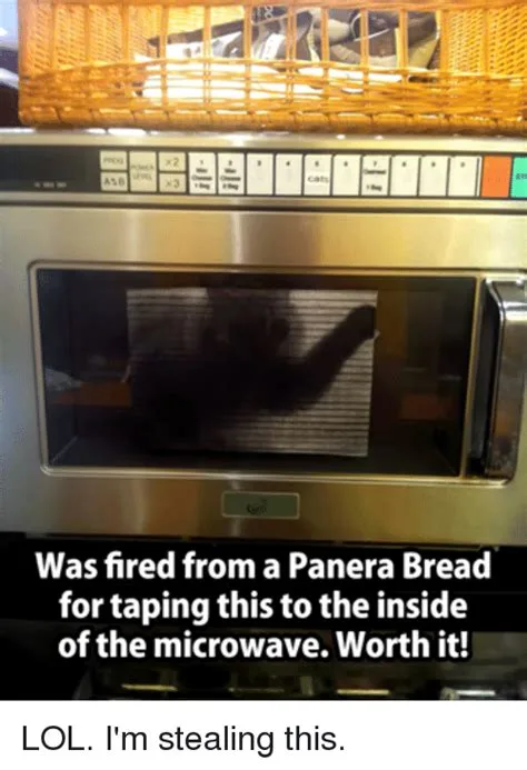 microwave meme