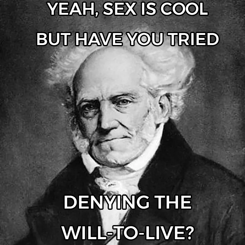Arthur Schopenhauer meme