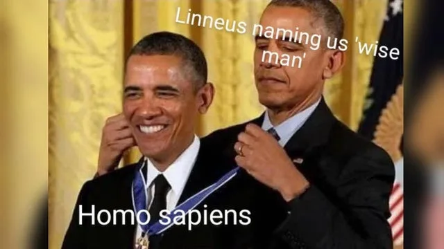 humanity meme