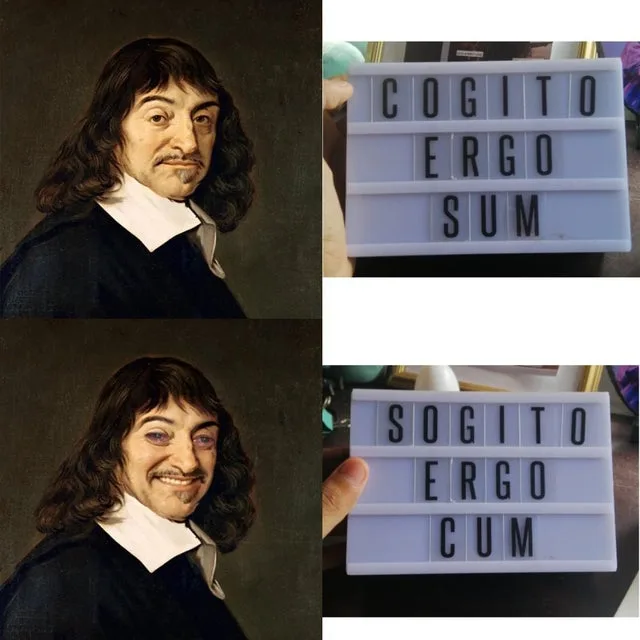 Rene Descartes meme