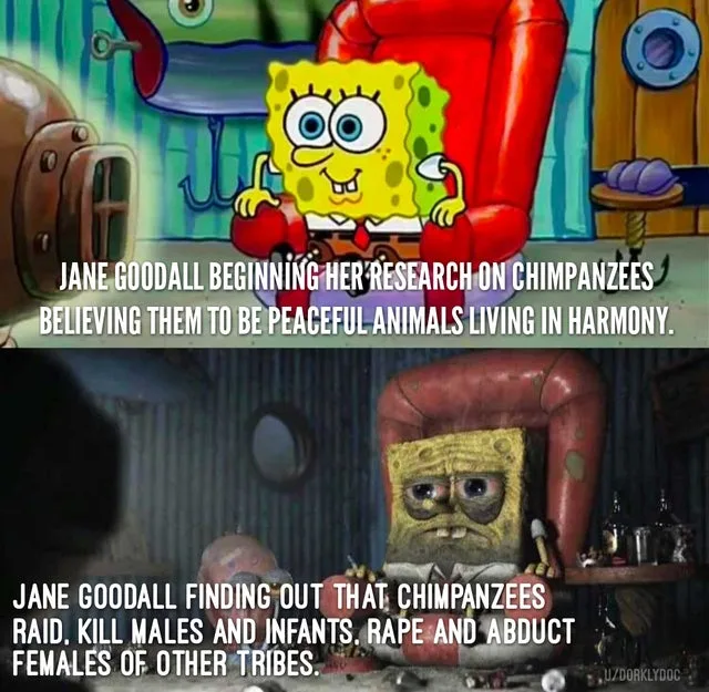 human nature meme