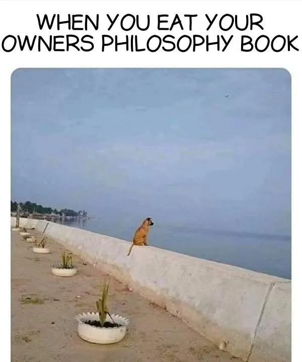 contemplation meme