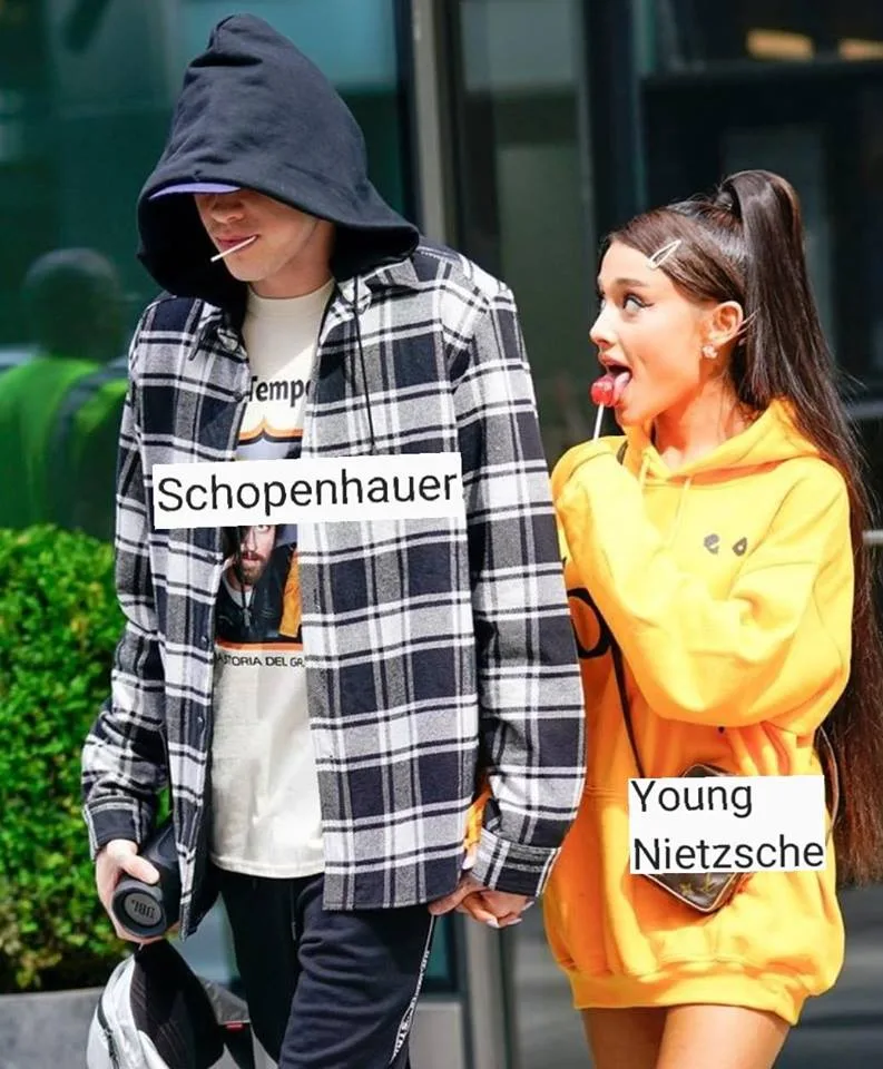 Arthur Schopenhauer meme