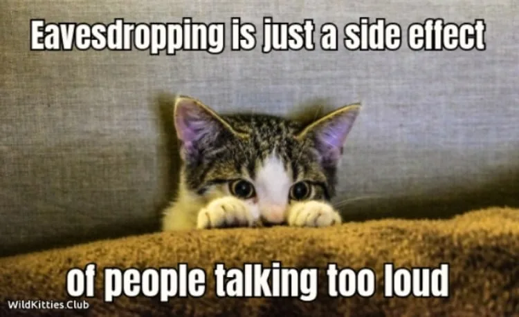 eavesdropping meme
