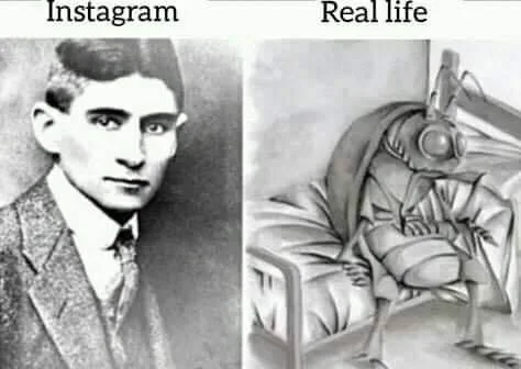 Instagram meme