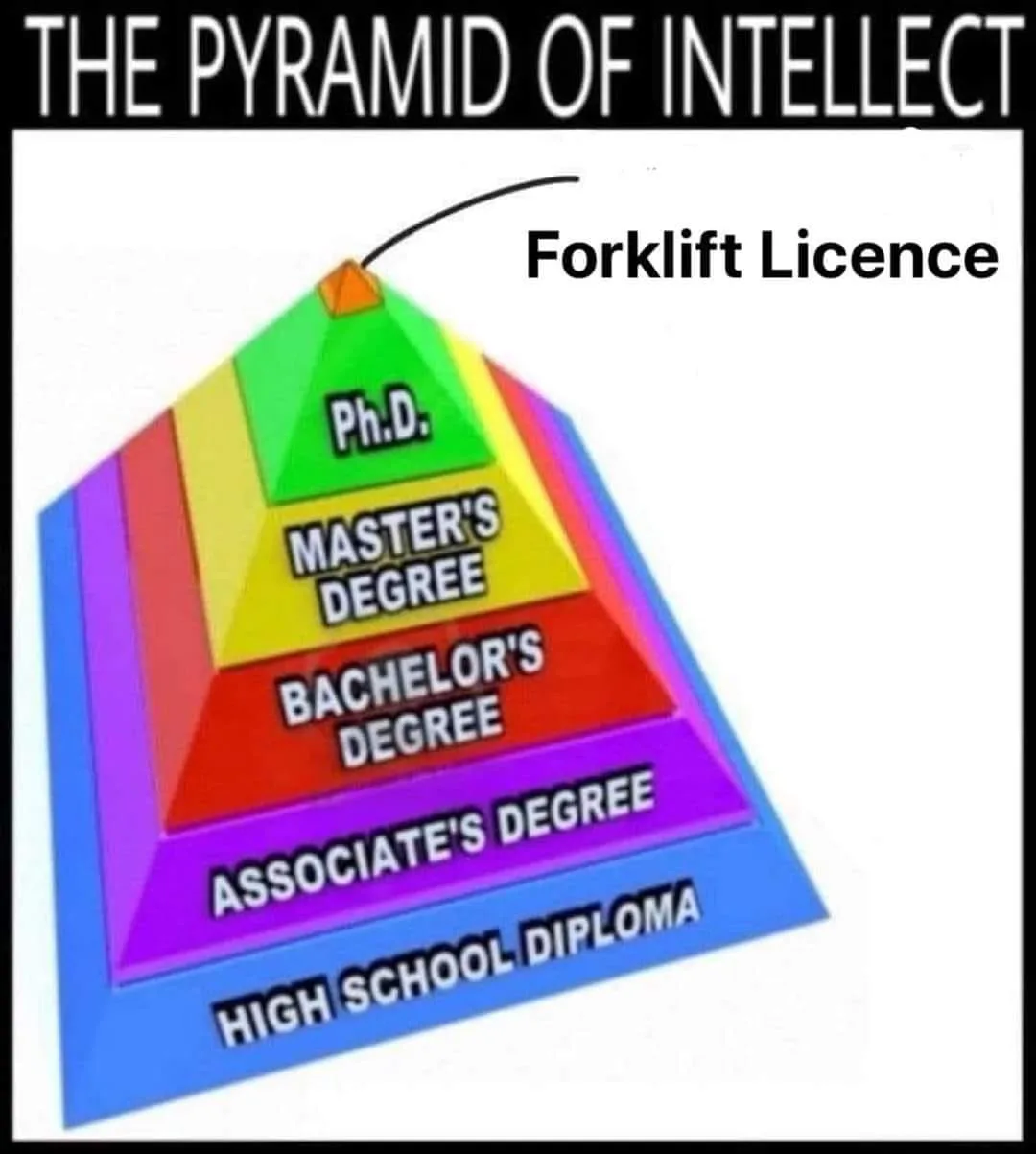 philosophy major meme