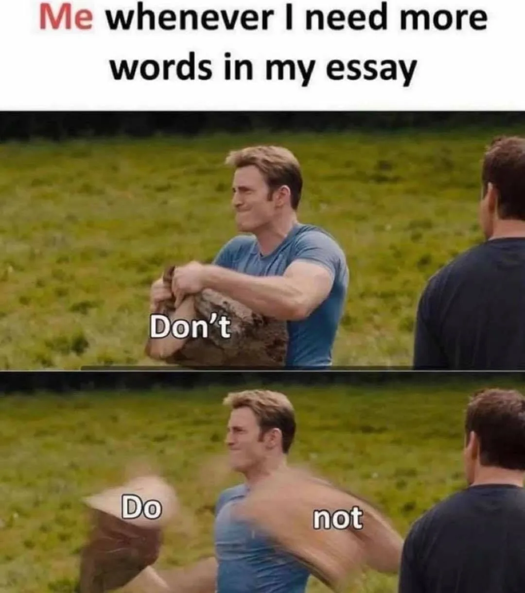 essay meme