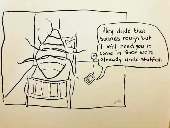 metamorphosis meme