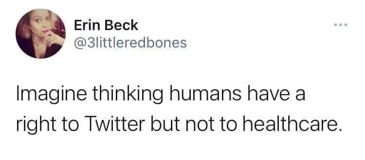 Twitter meme