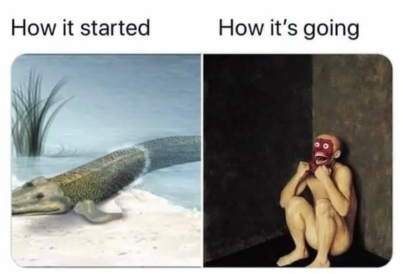 evolution meme