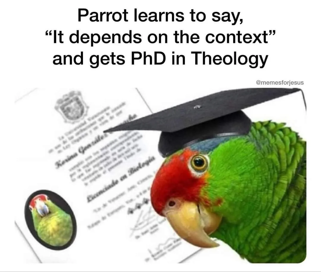 graduate school meme