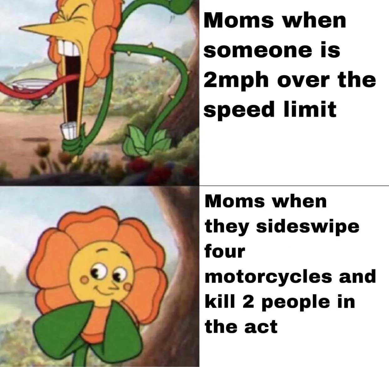 Karen meme