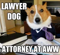lawyer meme