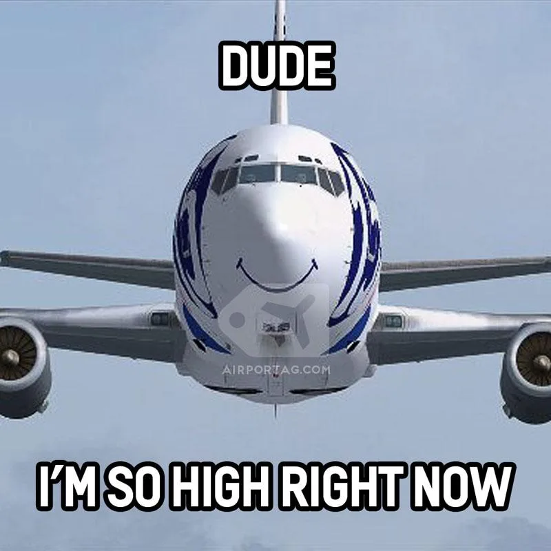 airplane meme