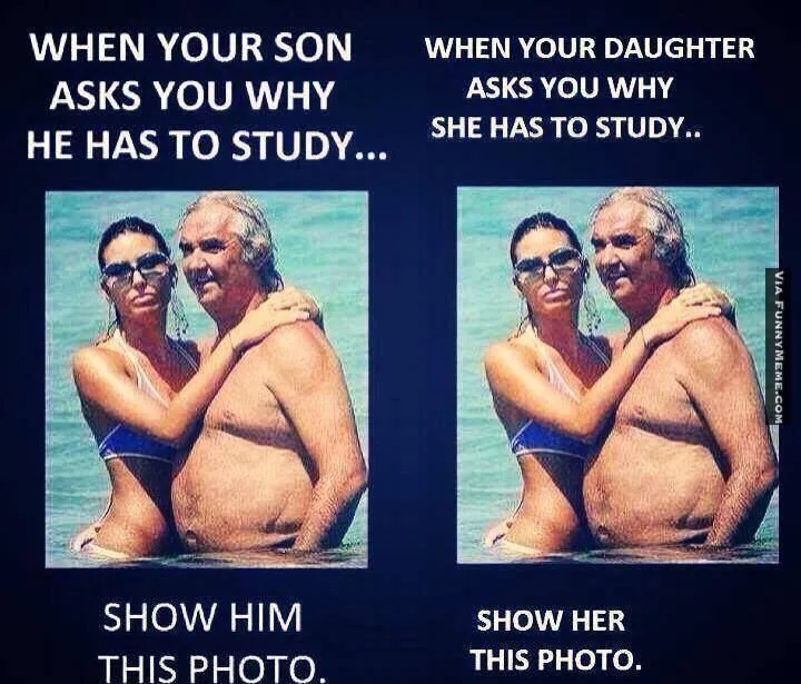 studying meme