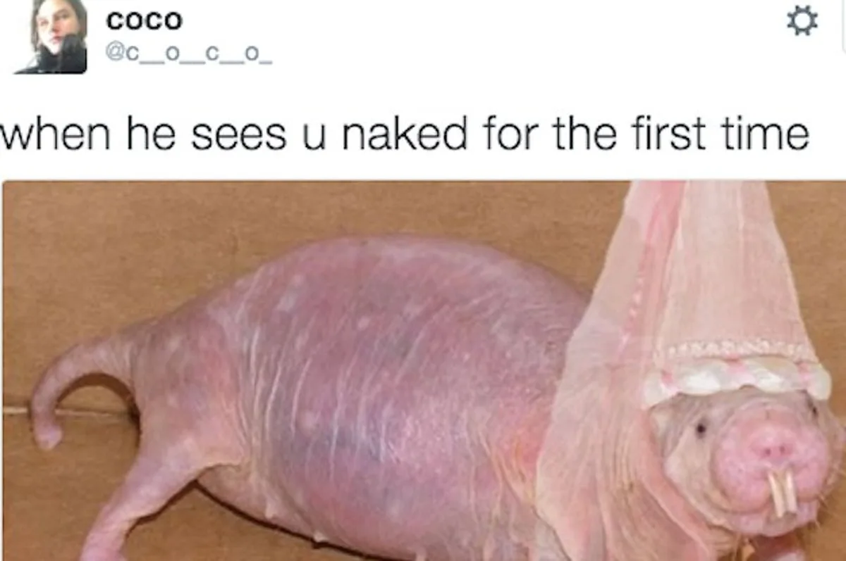 nudity meme