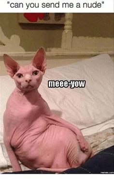 sexting meme