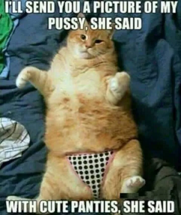 sexting meme