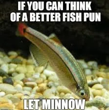 minnow meme