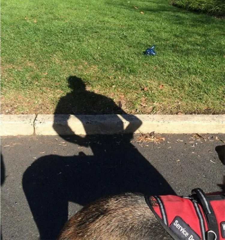 shadow meme