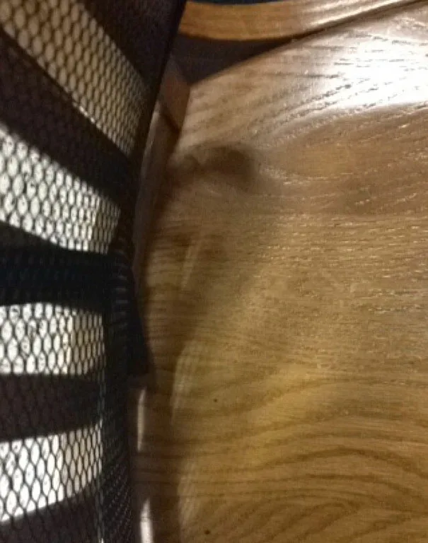 shadow meme