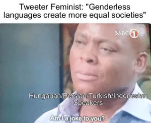 linguistic relativity meme